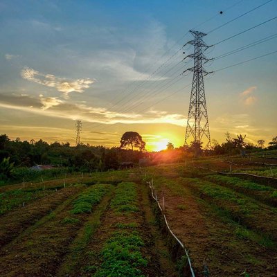 Sunset Dari Kebun