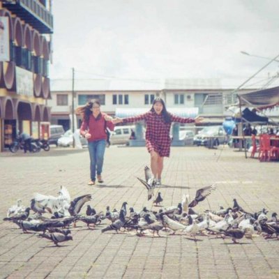 • Chasing Pigeons I •