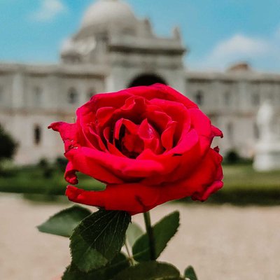 Kolkata : The City of joy❤