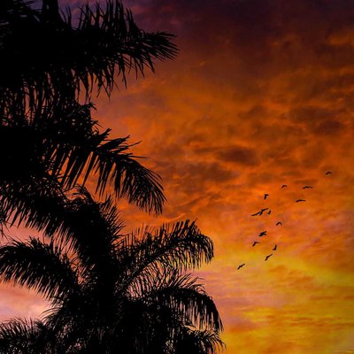 Sunset Vibe 🥰