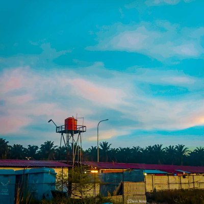 Senja