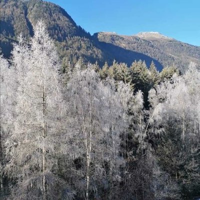 🏔️😊