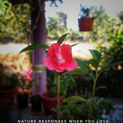 Nature Love