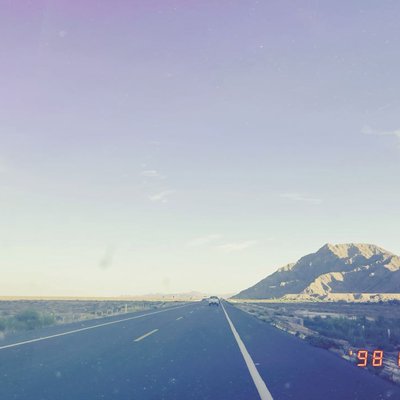 🦂🏜️