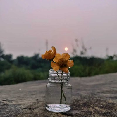 ❤️🌻