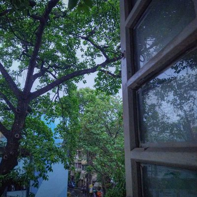 A Peaceful Weather ❤️