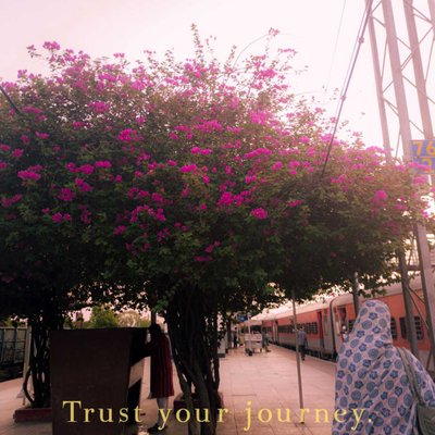 Trust your journey 🌸