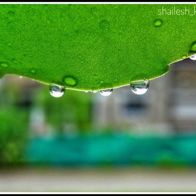 Reflection on water droplet.
