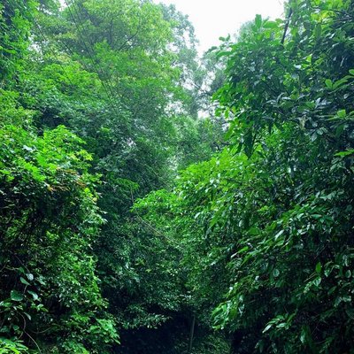 hiking trail
