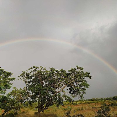 Rainbow