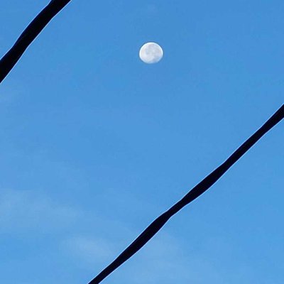 Moon in the morning