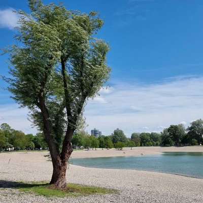 Windy lake Bundek 💨💯