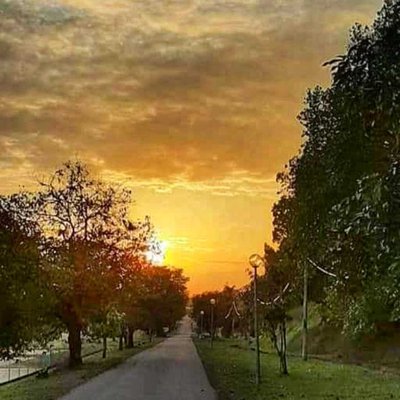 Senja