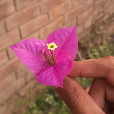 Spring is here 