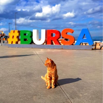 Mudanya Bursa