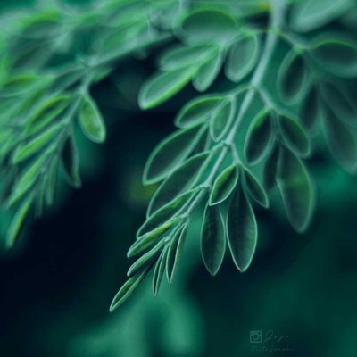 Beautiful Nature 