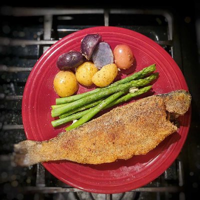 fried 🌈 rainbow🌈 trout
