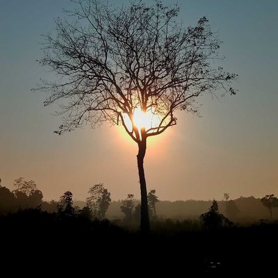 Sunrise