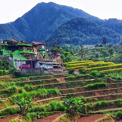pemandangan di kaki gunung Lawu
