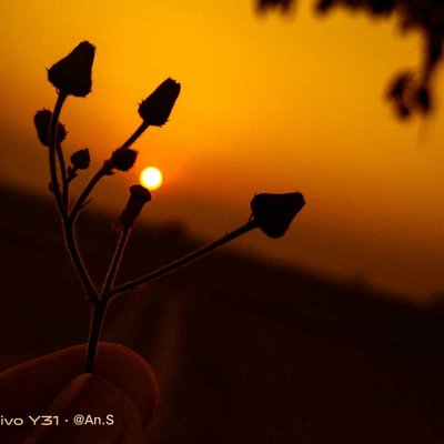 Sunset ✨