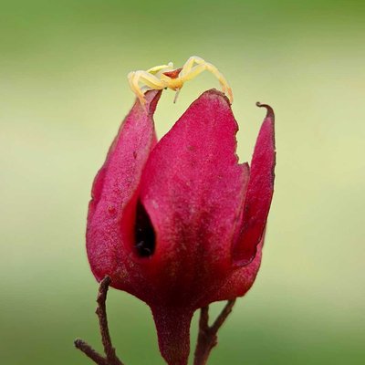 Colours of Wild 