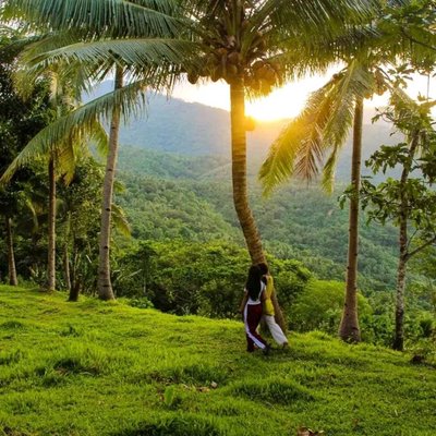 Kulod💚