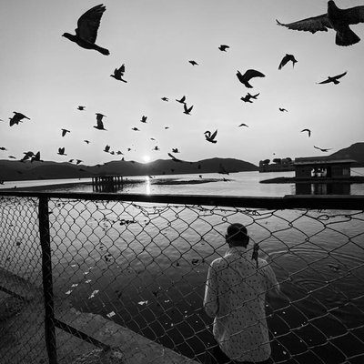 caged | Freedom 
