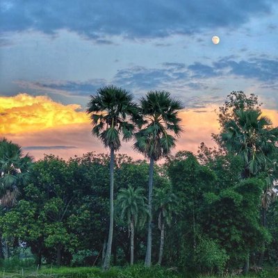 Nature's Painting