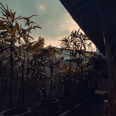 Coffee Spot