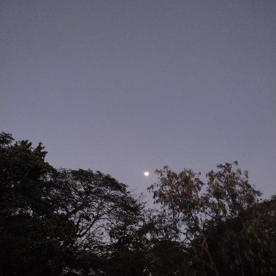 "Luna"