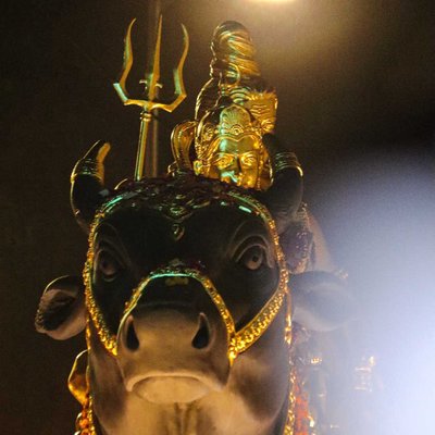 Shivji ki Savari 