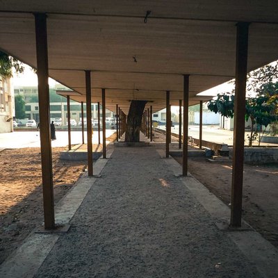 the walking path
