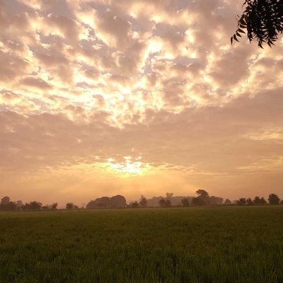 Good morning