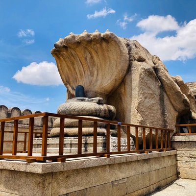 Nagalinga - Lepakshi Temple 🛕