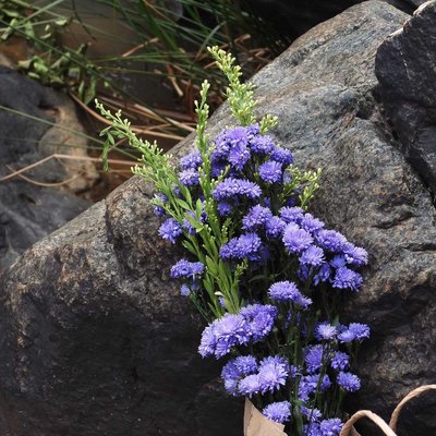 Let nature be your muse.