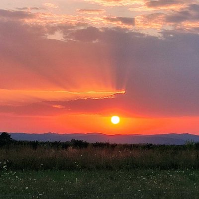 Sun rays