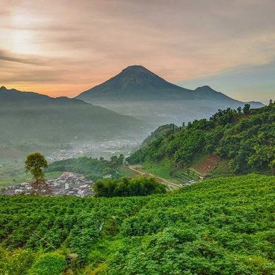 Gardu Pandang Tieng