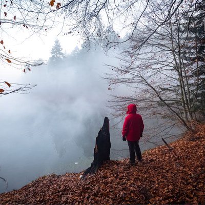 A Foggy Day