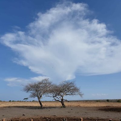 Baluran National Park 