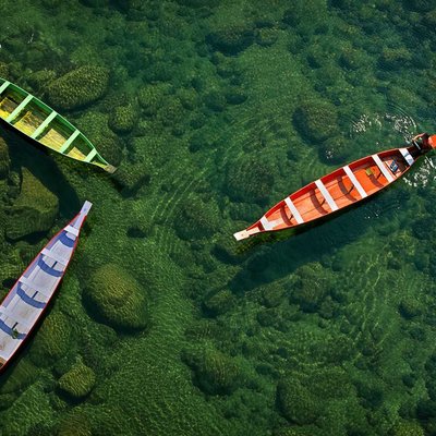 Tri Color Boats 