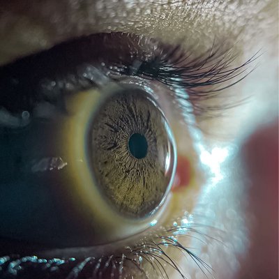 New year, new vision.