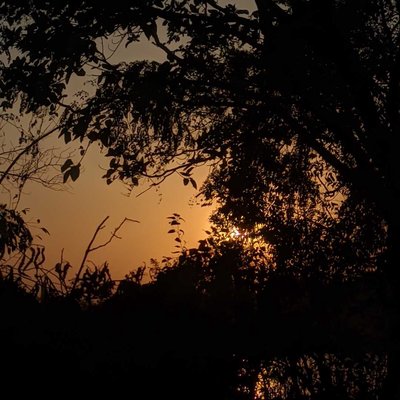 Golden Hour