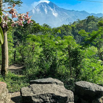 kopi merapi