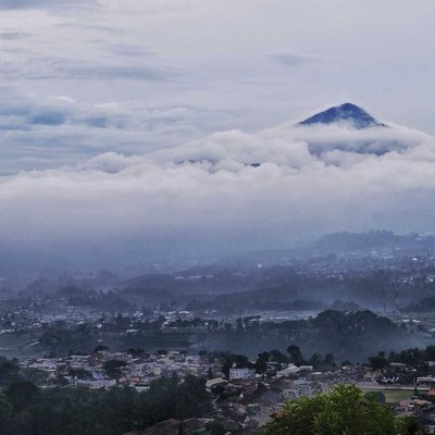Morning Glory from Lembang