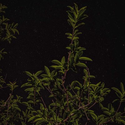 Night sky 