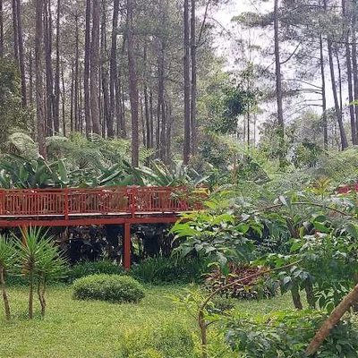 Area Outbond Orchid Forest Cikole