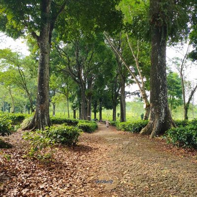 Wisata Agro Wonosari 