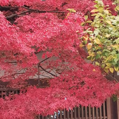 Kyoto