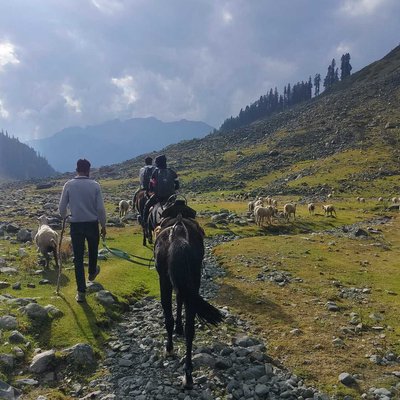 Kashmir Travel Post 3 
