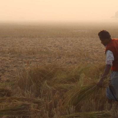 Farmer